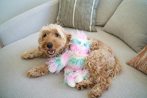 Flourish Pets 3 in 1 Multi-Layer Chew Toy for Active Dogs | Non-Toxic BPA Free Double Stitched Soft Fabric Exterior Dog Toys | Long-Lasting Dog Plush Toys - Large Yeti/Sloth 5"