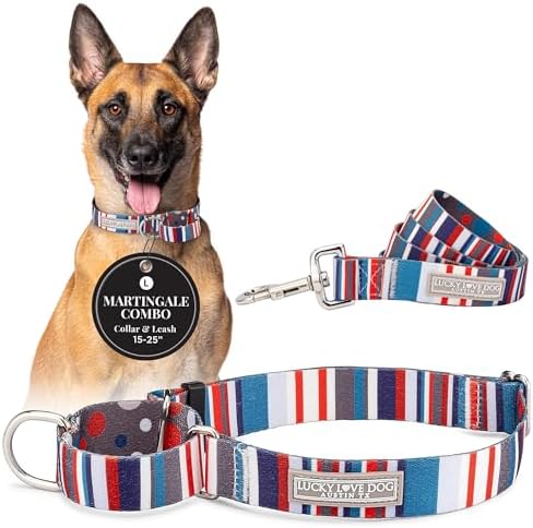 Lucky Love Dog Martingale Collar & Leash Set No Slip Cute – Linus, Large