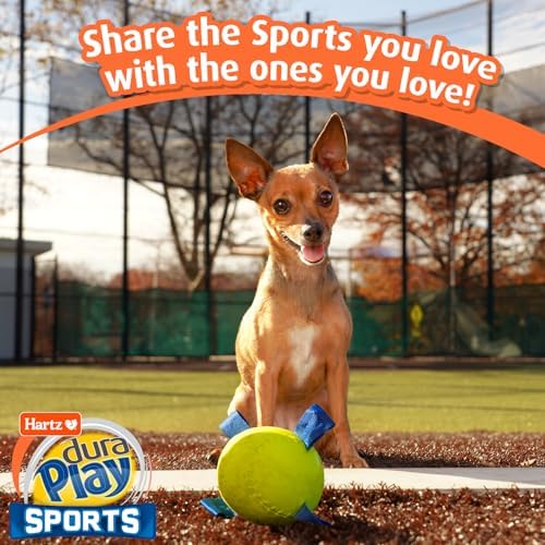 Hartz Dura Play Sports Baseball Dog Toy, Bacon Scented Squeaky Latex Yellow & Blue Toy, 3 Count
