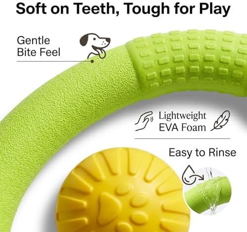 Large Dog Toy Ring and Ball Combo Set, Floating EVA 2 Pack (Green, Large)