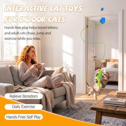Door Frame Cat Toy for Indoor Cats, Automatic Hanging Toy