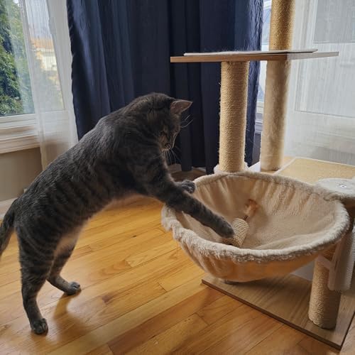SPOT Naturals Silver Vine Cat Toy – Natural Interactive Enrichment for Cats, Stimulates Play and Reduces Stress, Durable and Safe, Perfect for Indoor Cats and Kittens, Assorted Styles, 1 Piece