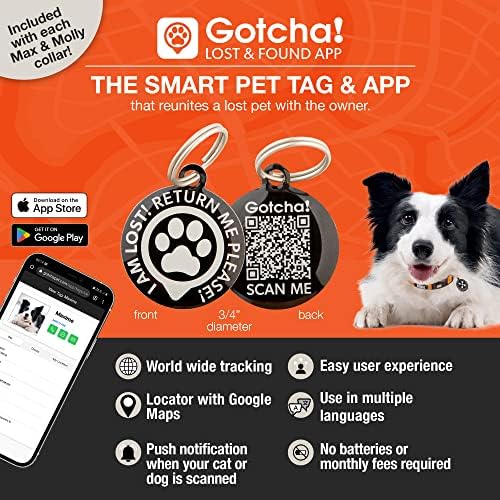 Max & Molly Urban Pets Smart ID Dog Collar - Soft Neoprene, Waterproof, Machine Washable, Power Buckle, Gotcha! QR Tag & Custom App Profile, Cherry Bloom M
