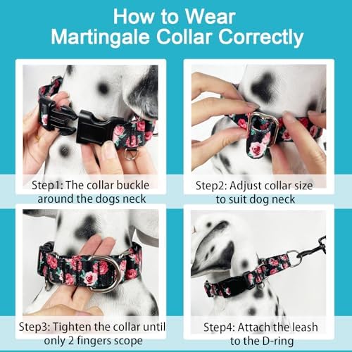 Martingale Collar for Dogs with Buckle No Pull, Black Floral, L