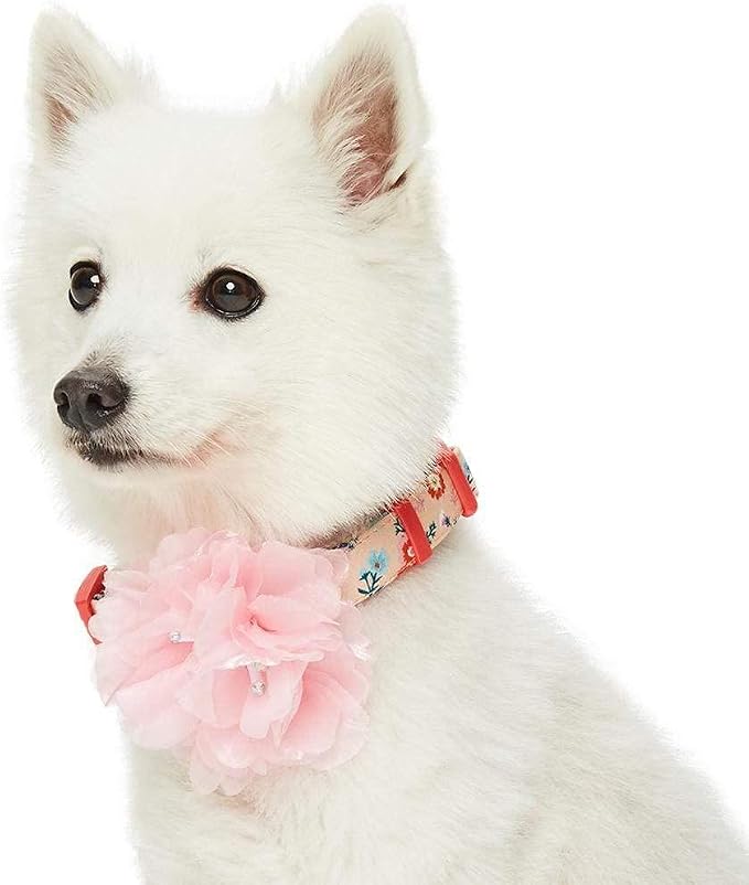 Blueberry Pet Floral Power Cosmos Designer Orange Adjustable Dog Collar with Detachable Pink Peony, Small, Neck 12"-16"