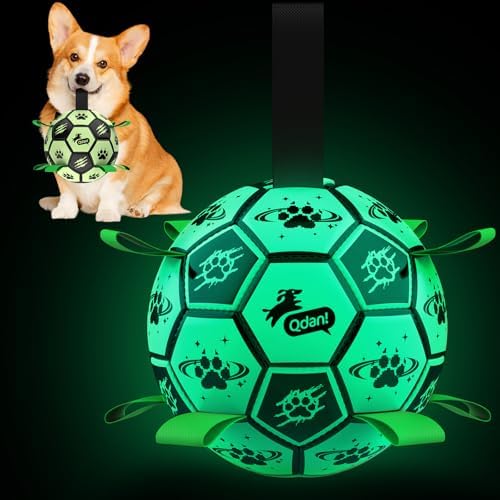 QDAN Glow in the Dark Dog Ball, Light Up Dog Toys, Luminous Glow Soccer Ball for Dogs, Outdoor Dog Toys, Doggy Water Toy, Puppy Birthday Gifts for Small Medium (6 Inch)