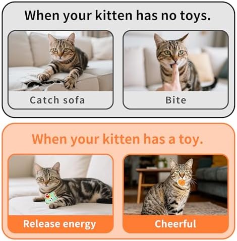 Mini Cat Catnip Toys for Indoor Cats 9 Pack