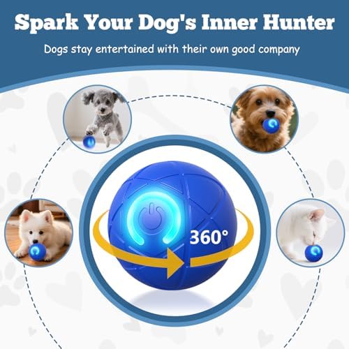 2 PCS Interactive Dog Ball, [2026 Newly Upgraded] Automatic Moving & Bouncing Dog Toy to Keep Them Busy,Pet Vibrating Ball for Dogs/Cats, Durable Pet Balls for Small&Medium Dogs(Blue & Orange)