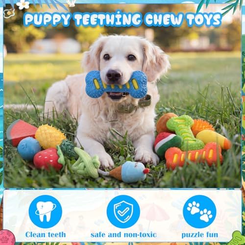 Outus 32 Pcs Summer Dog Squeaky Toys Set Puppy Chew Toys Pack Includes Squeaky Plush, Cotton Rope, Tennis Balls, Cooling Fruit Chew with Storage Bag for Summer Medium Dog Pets Teething Playing