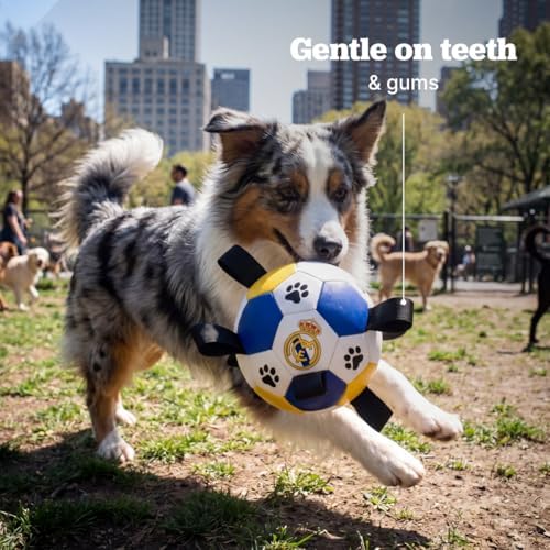 Interactive Dog Soccer Ball for Dogs, 6” with Straps & Grab Tabs, Floats on Water, Fetch & Training Toy for Small/Medium Dogs, Herding Breeds, Waterproof Non-Toxic – ProBall Pets – Real Madrid