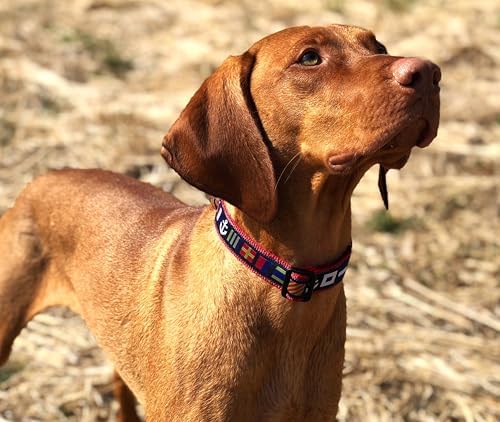 XL 18-24 Inch Dog Collar Nautical Flags Pattern Adjustable Pet Collar with Durable Nylon and Strong Buckle