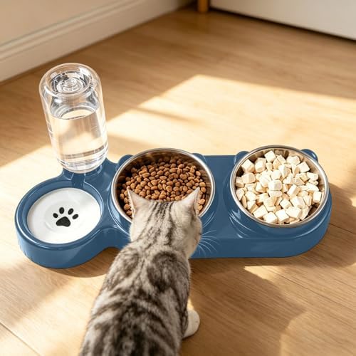 3 in 1 Cat Bowl, Cat Food and Water Bowl Set, Stainless Steel Cat Food Bowls Elevated with Tilted Design, 2 Pet Dish & Automatic Water Dispenser Feeding Station, Small or Medium Sized Dogs