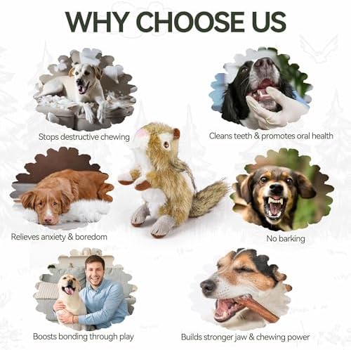 ALL FOR PAWS Chipmunk Squeaky Doy Toy, Squirrel Dog Toy for Medium Large Breed, Puppy Fetch Toy with Squeaker, Plush Chew Dog Toy, Chipmunk-L