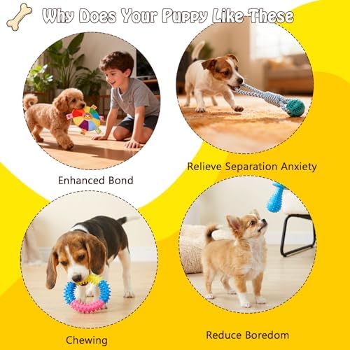 Puppy Play Gym with 8 Hanging Toys, Small Dogs Indoor Jungle Playground, PVC Frame with Suction Cups Interactive Enrichment Activity Center