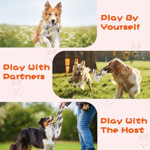 Mihachi Easter Rabbit Dog Squeaky Toys 16 Squeakers for Aggressive Chewers, Tough Interactive Tug of War Dog Toy-Chew Toy for Small,Medium,Large Breed No Stuffing Toy, Fun Long Toys 22.8 Inches