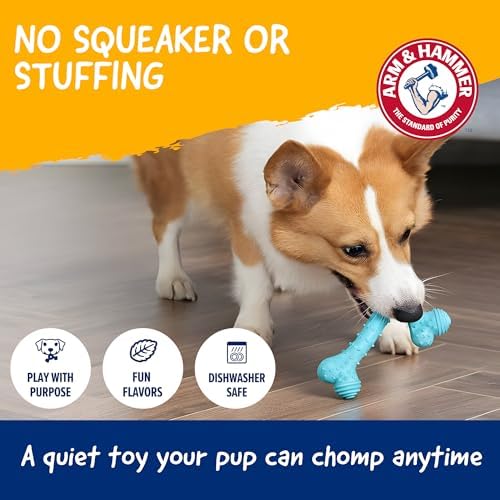 Arm & Hammer Nubbies T-Bone Dental Dog Chew Toy, Peanut Butter Flavor