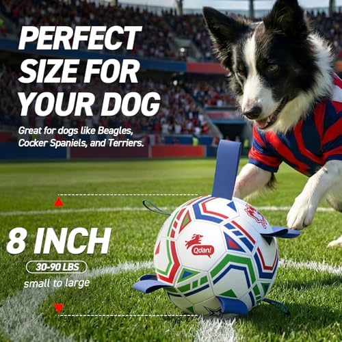 QDAN World Cup Soccer Ball for Dog, Large Herding Ball for 30-90 lbs Dogs