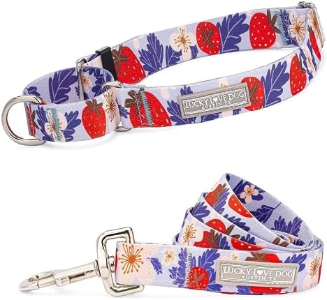 Lucky Love Dog Martingale Collar & Leash Set No Slip – Sweet Berry, Small