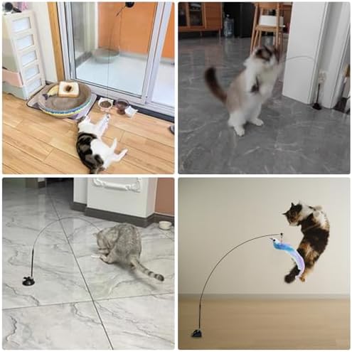 Cat Toys Interactive Hands-Free 8 Pack Cat Toys for Indoor, | Cats Toy Wand Natural Bird Feather,Hanging Door Lure Kitten Toy, Suction Cup Pet Playing,Suction Cup Pet Indoor