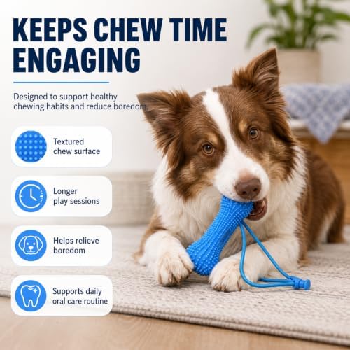 Paw Motion Dog Dental Toy, Dual-Action Rope Chew Toy for Teeth Cleaning, Interactive Tug Toy with Textured Knots, Puppy Training Toy for Small Medium Large Dogs，2 Packs