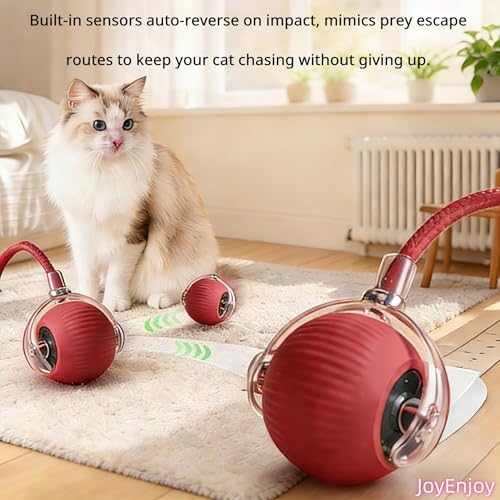 Interactive Cat Toy Rolling Ball with Tail, Motion Activated Indoor Cats