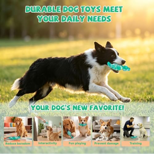 WinTour 2Pack Tough Dog Toys for Aggressive Chewers, Dog Chew Toys for Play