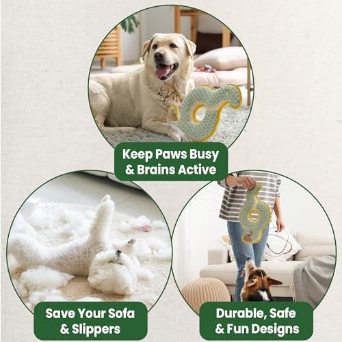 Nocciola Squeaky Dog Toy, New 2025 Ring Snake Dog Toy for Tug of War, Stuffed Toy with Two Tough Layers, Interactive Tug Training to Keep Them Busy, Green