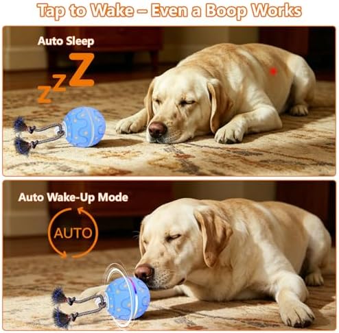 Interactive Dog Ball Toy with 2 Rope, Automatic Rolling & Bouncing Smart Dog Toy with Bird Chirping Sound and LED Light, Soft ETPU Chew-Safe Material, USB Rechargeable, for Medium & Large Dogs