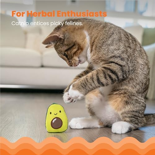 Catstages Lil' Avocato Cat Toy, Interactive Plush Avocado with Catnip, Kicker & Chew Toy for Indoor Cats, Encourages Active Play, Mental Stimulation, Dental Health, and Solo Fun, Green (Pack of 2)