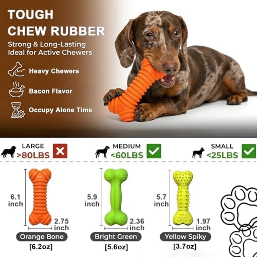 Tough Rubber Squeaky Bone Dog Toys for Aggressive Chewers Small Medium Dogs