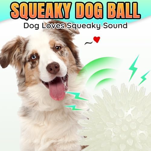 LECHONG 6-Pack Glow in The Dark Squeaky Dog Balls, 3.5” Spiky Dog Toy Balls, Durable Glowing Rubber Fetching Ball for Medium & Large Dogs Nighttime Playing Indoors & Outdoors
