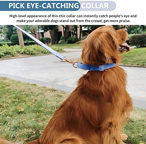 Soft Leather Martingale Dog Collar - Adjustable Rose Gold Limited Slip Collars [Easy to Clean], Stylish Durable Heavy Duty Nylon No Pull Training Collar for Small Medium Large Dogs M Blue Purple