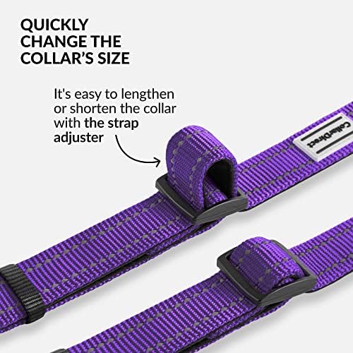 Reflective Dog Collar, Quick-Release Buckle (Purple, 18-26 Inch)
