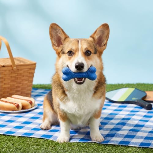 Playology Dual Layer Bone Dog Chew Toy - Medium, Hot Dog Scent