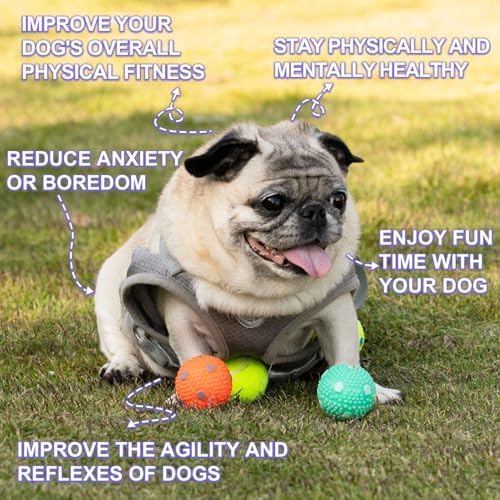 Dog Balls 12 Pcak, 9 Latex Balls and 3 Tennis Balls for Small Dogs and Puppies for Automatic Dog Ball Launcher(2 Inches)