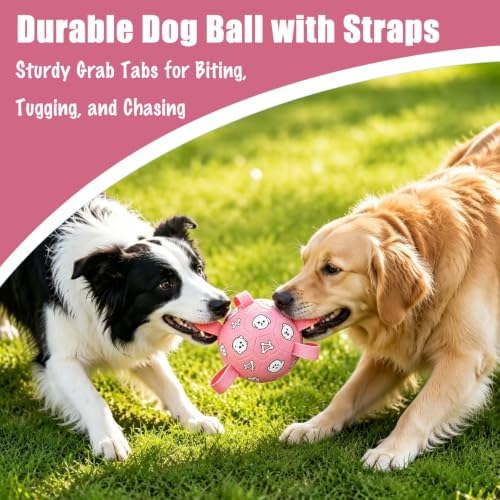 Dog Soccer Ball with Straps, 6 Inch Jolly Ball for Medium Dogs