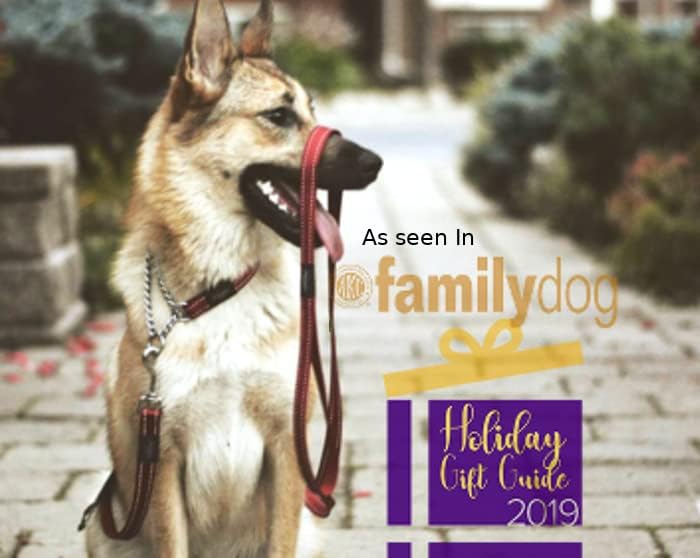 Reflective Nylon Choke Collar; Slip Show Obedience Training Gentle Choker for Large Dogs, Brown