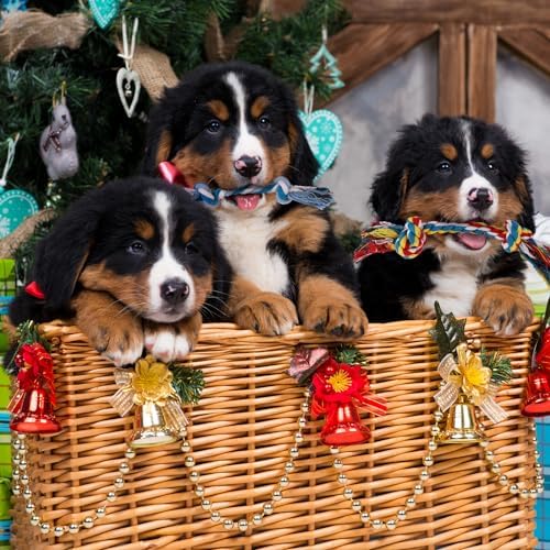 8 Packs Puppy Rope Knot Toy - Multi Color Chew Toys for Small and Medium Dogs - Cotton Teething Tug With 2 Knots