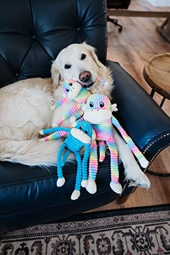 ZippyPaws Crinkle Monkey - Rainbow & Blue 2-Pack, Small