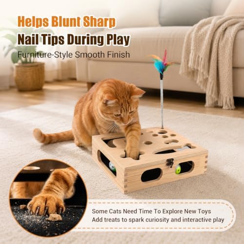 Cat Scratch Puzzle Enrichment Box, Wooden Interactive Toy for Indoor Cat