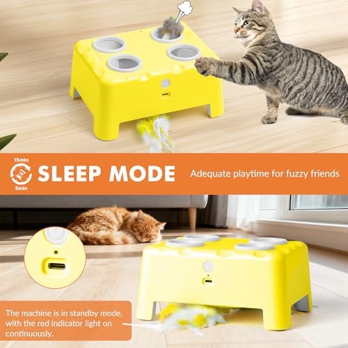 Wortade 2-in-1 Automatic Cat Toy, Interactive Cat Toy for Indoor Cats
