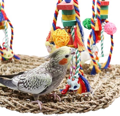 Large Bird Swing Toys, Colorful Parrot Seagrass Mat Hammock with Blocks, Bird Foraging Toy, Bird Cage Accessories, Suitable for Small to Medium Birds Parakeets Lovebirds Cockatiels 15.7 × 11.8 Inches