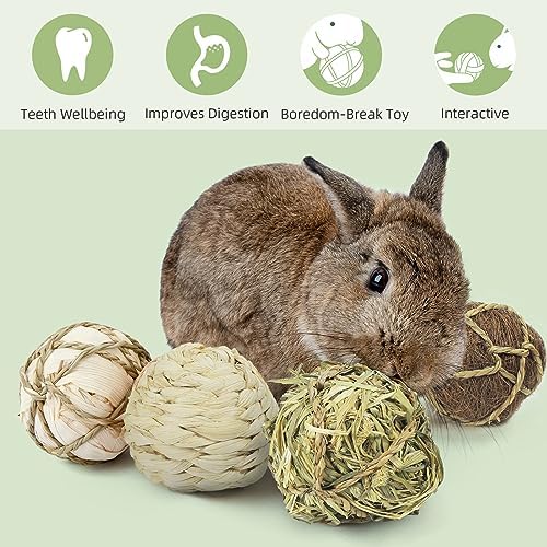 andwe Small Animals Play Balls Rolling Chew Toys, Pack of 4