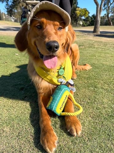 PUPROAR Golf Dog Toy, Dog Birthday Gift, Funny Squeaky Plush Rope Golf Bag Toy for Small, Medium & Large Breeds