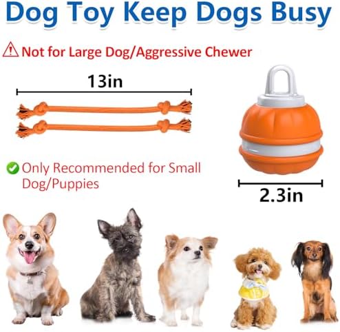 Muhhiba Interactive Dog Toys, Automatic Rolling Ball for Puppy/Small Dogs, Squeak Dog Toy, Touch Activated, USB Rechargeable