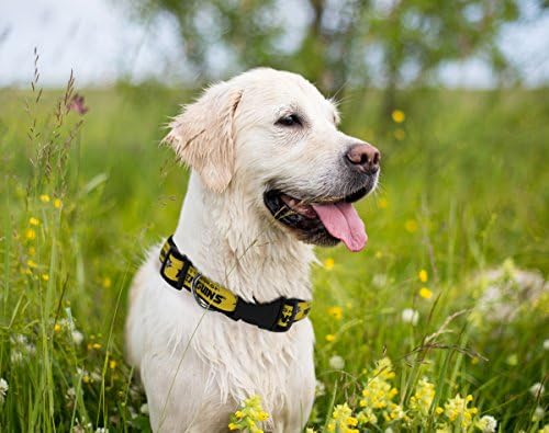 Pets First NHL Collar for Dogs & Cats. Adjustable, Cute, & Stylish! The Ultimate Hockey Fan Collar!