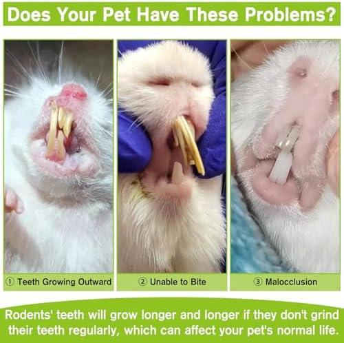 Fhiny Hamster Chew Toys for Teeth, 12 PCS Peapods Shaped Guinea Pig Snacks Natural Timothy Grass Carrot Rabbit Treats Handmade Small Animal Food for Bunny Chinchilla Gerbil Molaring