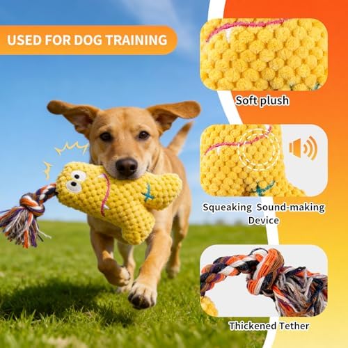 Flirt Pole for Dogs with Squeaker & Rope – Includes XL Carry Bag