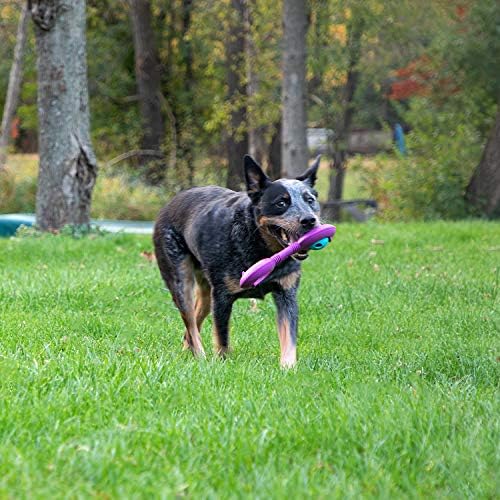 Chew King Premium Throw Stick Dog Toy - Durable Natural Rubber Collection, Fetch and Tug Dog Toy, Pet Treat Toys for Boredom