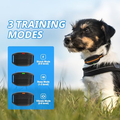 Shock Collar for Small Dogs, Electric Dog Training Collar with Remote,Tailored for 5-30lbs Small Dogs,3 Training Mode Beep, Vibration, Safe Shock(0-9) Waterproof, 1900ft Range (Black, Small)